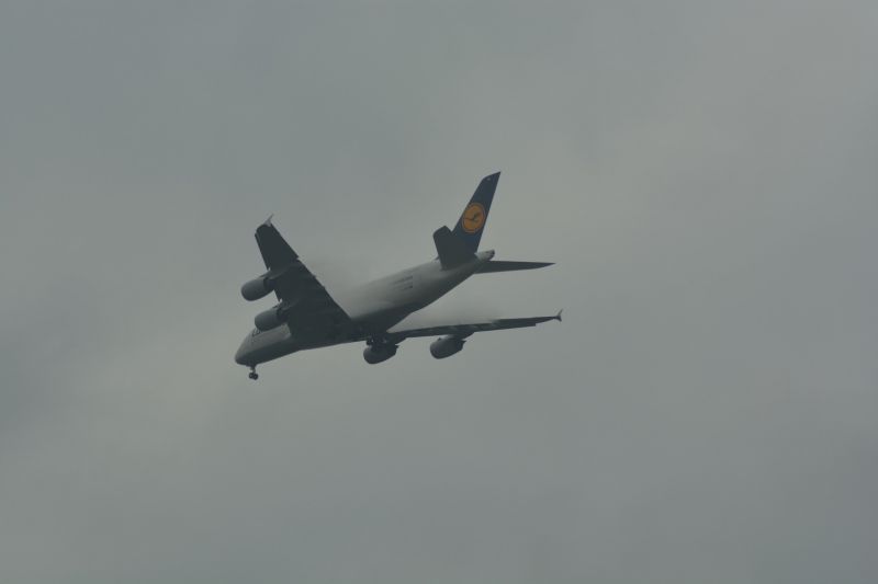 File:10369857346 598e856a8e k.jpg